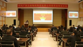 玉柴物流集團黨委完成換屆選舉，夯實黨建基礎(chǔ)